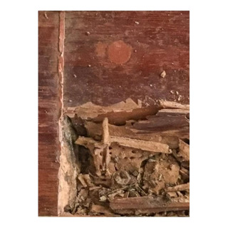 Trata Madera - Elimina Comején O Termitas - Trata Madera - Elimina Comején O Termitas -