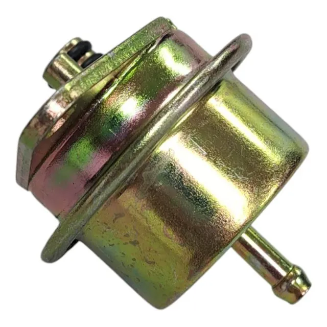 Regulador Gasolina Ford F150 / Bronco / Mustang / Varios