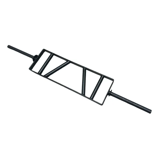 Barra Romana Triceps 25mm De Diametro Gym 1,2mts