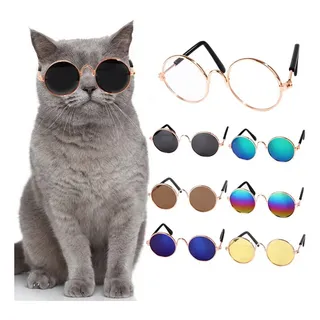 Lentes de gato mercadolibre hotsell