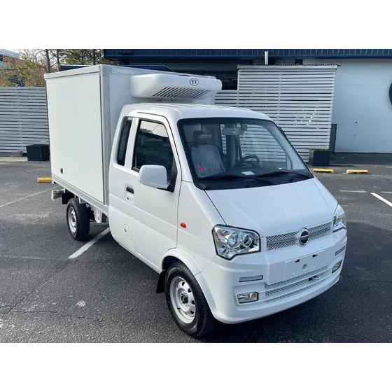 Dfsk Pick Up Pick Up 1.5 K01h