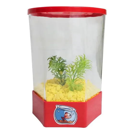Aquário Hexagonal Injetfour de 1.5L para Peixe Betta Vermelho com Plantas