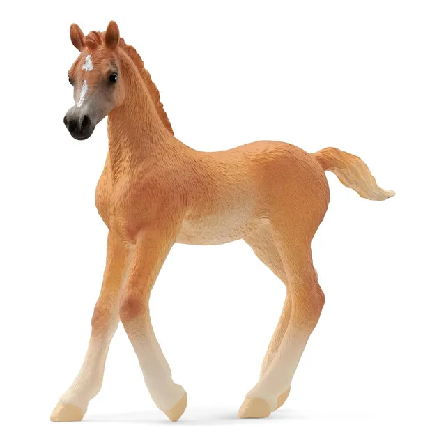 Schleich Caballos 13984 Potro Arabe