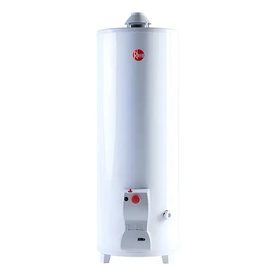 Rheem FUNCTIONAL TPG120GNRH Termotanque multigas Color blanco 120L