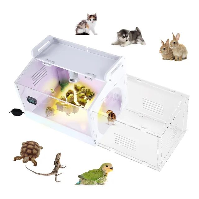 Caja Para Criadores De Pollitos Y Jaula De Codorniz 20-35