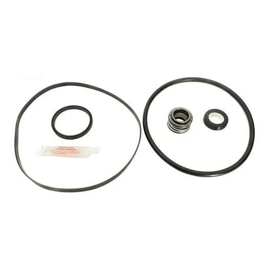 Aladdin Equipo Gokit2 Piscina Bomba Sello Kit Reparacion Ii