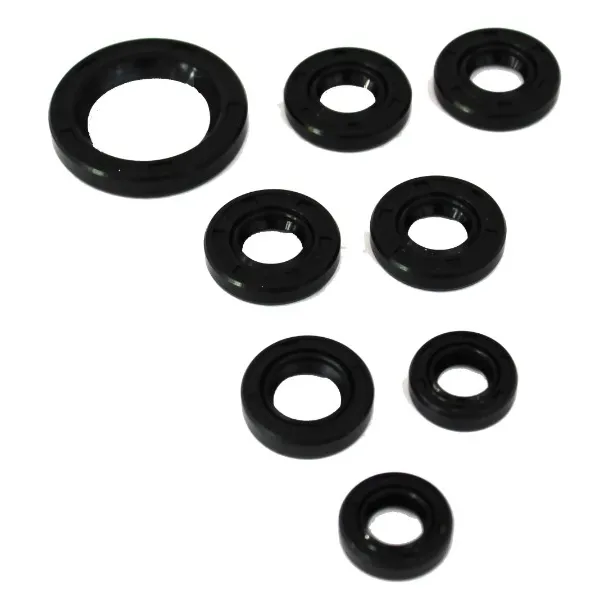 Juego De Retenes De Carcasa Para Moto Bajaj Pulsar Ns200