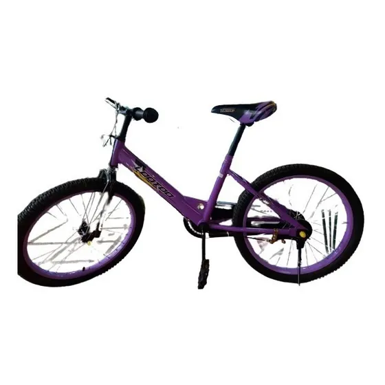 Bicicleta Para Niños Y/o Niñas, Marca: Lootoo 