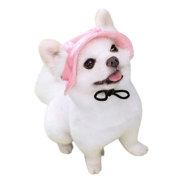 Gorro Sombrero Para Mascotas