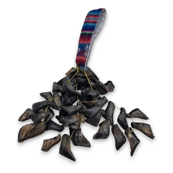 Pezuñas Chajchas Instrumento Mapuche Artesanal 