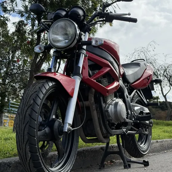 Suzuki Gs 500
