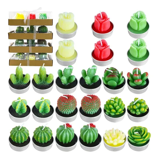 Pack 24 Velas Recuerdo Souvenir Vela Cactus Suculenta 4x4cms