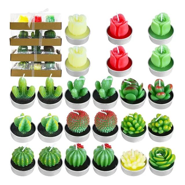 Pack 24 Velas Recuerdo Souvenir Vela Cactus Suculenta 4x4cms