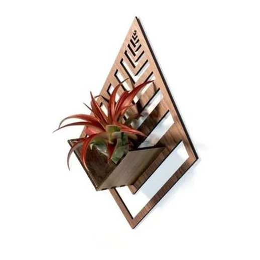 Macetero De Pared De Madera Y Acrílico - Suculentas Y Cactus