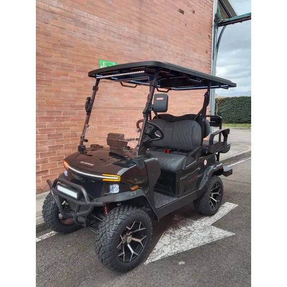 Carro De Golf Nuevo Bateria Litio Modelo 2026 Con Garantia