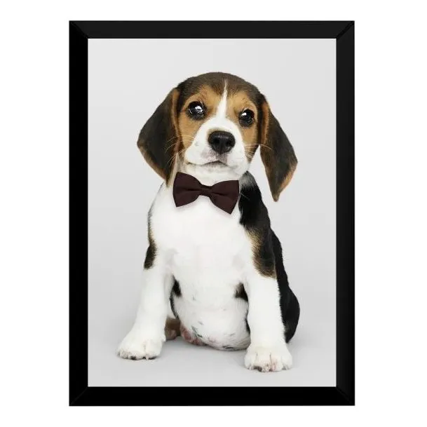 Quadro Decorativo Filhote De Beagle 30x42cm A3