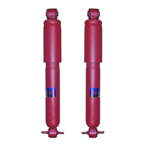 Kit 2 Amortiguadores Delanteros Fric Rot S10 4x2 1997 2011