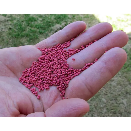 Semilla De Alfalfa Rr 25 Kg Excelente Poder Germinativo 94 %
