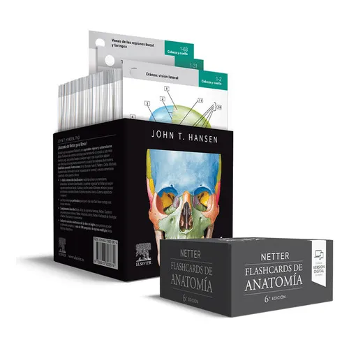 Netter Flashcards De Anatomia 6 Ed, De Hansen. Editorial Elsevier, Tapa Blanda En Español, 2023