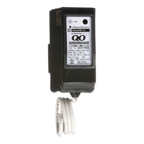 Interruptor Supresor De Picos 2 Polos Qo2175sb Square D