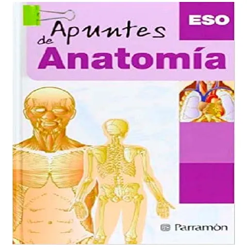 Apuntes De Anatomía