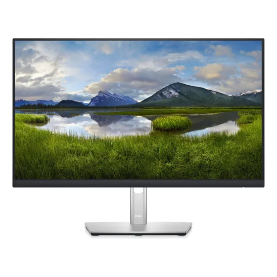 Monitor Dell P2425h Led 23.8 , Fhd Hdmi/displayport, Negro Color Negro/plateado