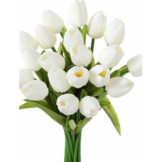 Buque De Tulipas Branco Real Ao Toque Com 10 Unidades Buque De Tulipas Branco Real Ao Toque Com 10 Unidades