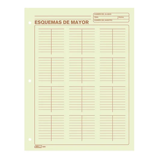 Block 50 Hojas Esquema Mayor Verde Printaform Contabilidad