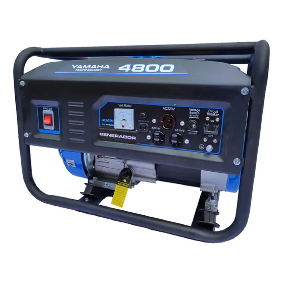 Generador planta de luz Leenjy LE4800