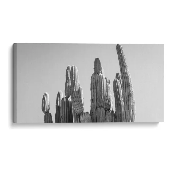 Canvas Lab Cuadro Cactus Elegante 140x70, Gitano!