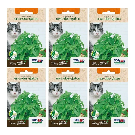 6x Sementes Erva Dos Gatos (nepeta Cataria) Catnip Topseed