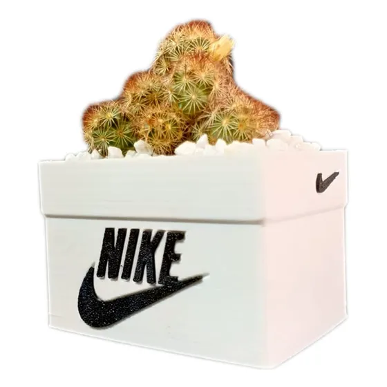 Materas, Macetas Decorativas Estilo Sneakers Suculentas 