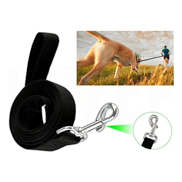 Correa Para Perro 5 Metros, Correa De Mascotas Larga, Straps