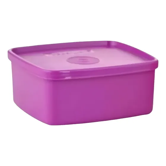 Taper Hermetico Tupperware Practifreezee 500 Ml Apto Freezer