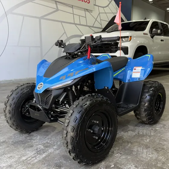 Cf Moto Cforce 110