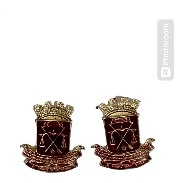 Escudos De Guardia Nacional Para M4 