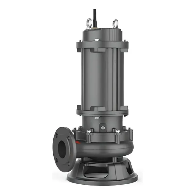 Bomba De Achique 2 Hp Leo Sumergible Aguas Negras Drenaje