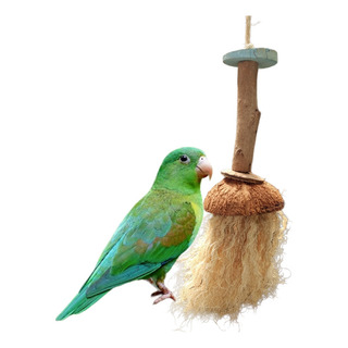 Juguete Para Aves Loros Pericos Coco Trapeado Para Masticar Juguete Para Aves Loros Pericos Coco Trapeado Para Masticar