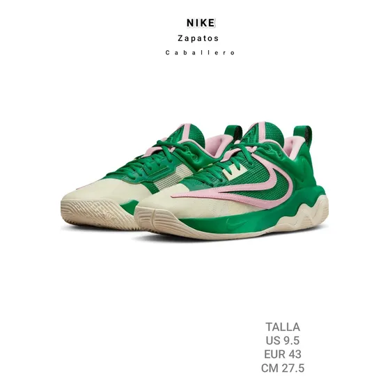 Zapatos Nike Para Caballeros