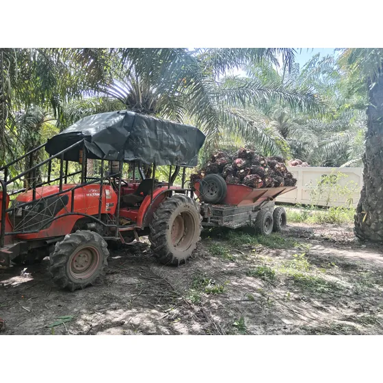 Kubota Mx5100
