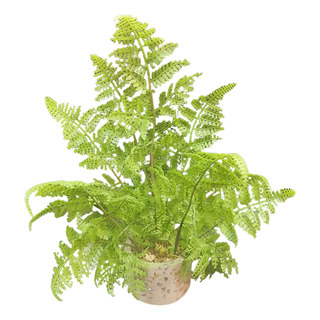Una Pequeña Planta Falsa En Maceta De Simulación De Plantas Una Pequeña Planta Falsa En Maceta De Simulación De Plantas