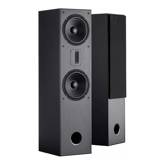 Monoprice Mp-t65rt Altavoz Deen Casa 2 Color Negro Doble