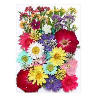 / Kit De Flores Secas Y Estampadas Para Velas Y / Kit De Flores Secas Y Estampadas Para Velas Y
