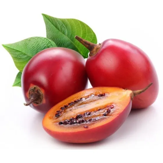 Tamarilho - Tomate De Árvore - 1 Muda 