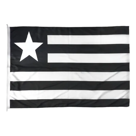 Bandeira Botafogo Oficial Fan 77x128cm Licenciada (1face)