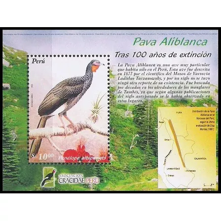 Fauna Amenazada - Ave - Perú - Block Mint 
