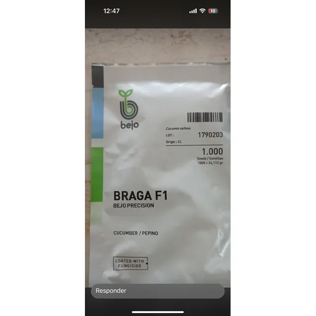 Semilla De Pepino Braga Bejo