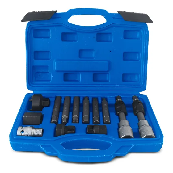Puntas Dados Extractor Poleas Alternador 13 Pcs Universal