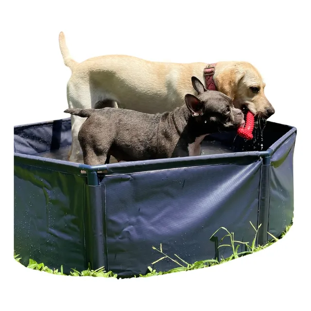 Piscina Plegable Para Perros 100x30cm