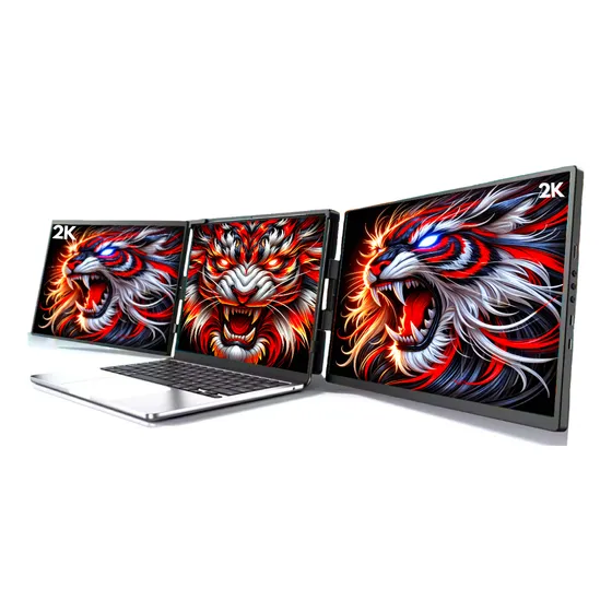 Monitor Duplo 14p 2k 2560x1440 Qhd Ips
